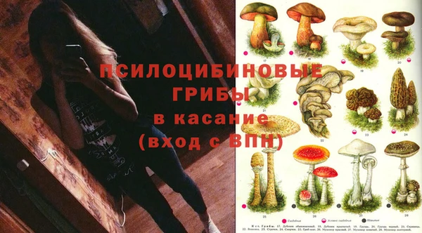 mix Аркадак