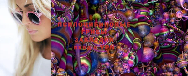 твердый Армянск