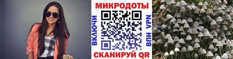 Галлюциногенные грибы Magic Shrooms  купить наркотик  Спасск 