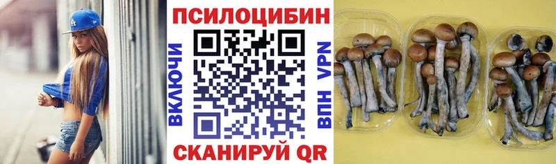 Псилоцибиновые грибы прущие грибы Спасск